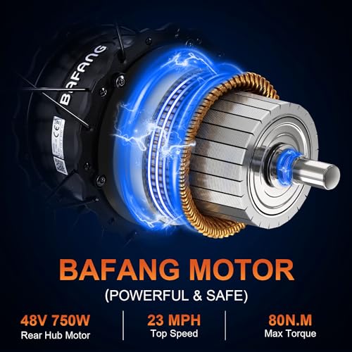 20'' Fat Tire Electric Bike with 750W Motor and 48V/20Ah Battery P363