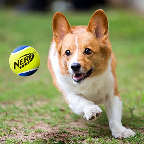 2.5 Inch Three Pack Dog Toy Tennis Ball with Squeaker J7208