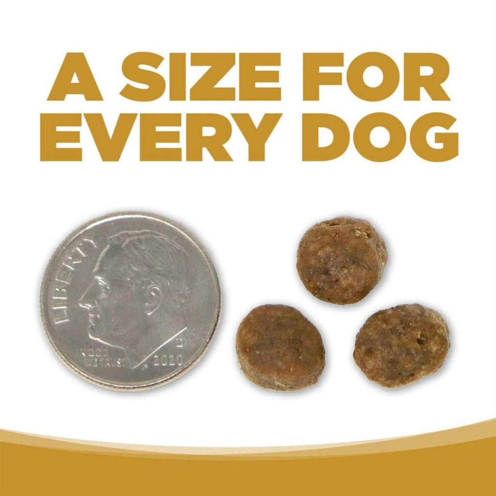 Small Bites Grain Free Dog Food Q366633