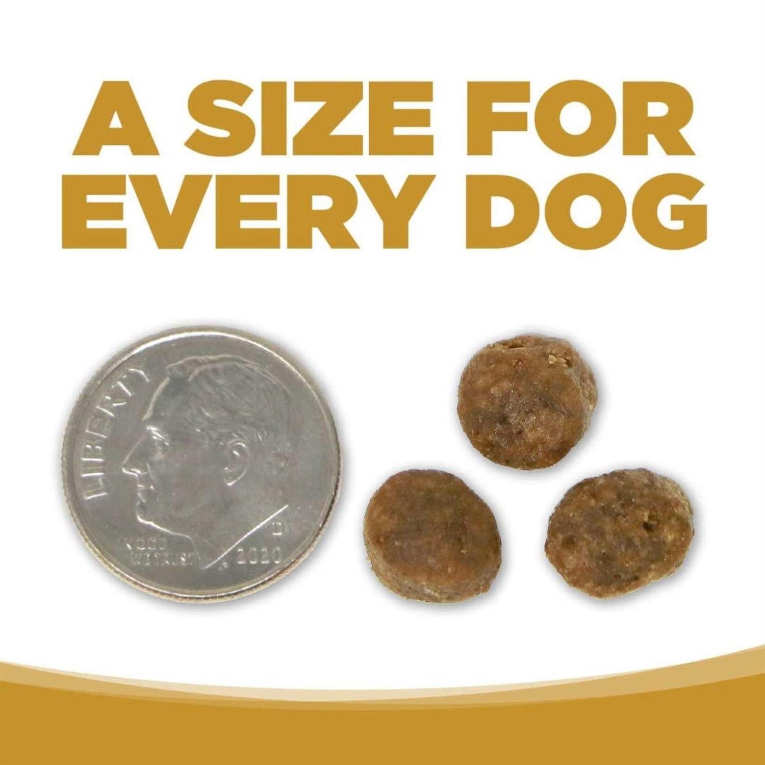 Small Bites Grain Free Dog Food Q366633