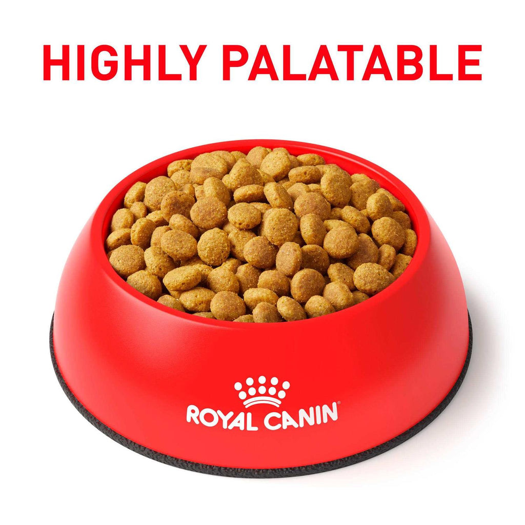 Veterinary Diet Gastrointestinal Moderate Calorie Dry Cat Food Z439