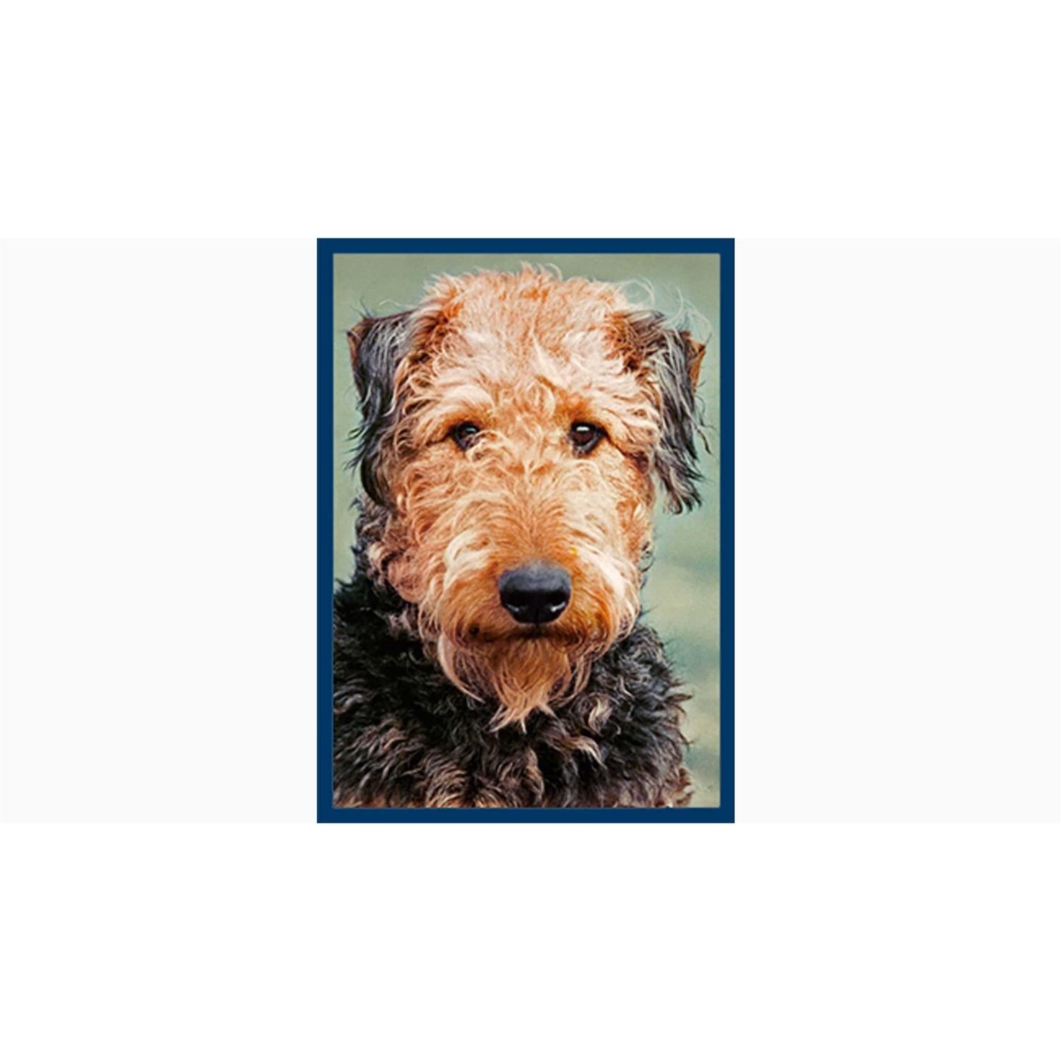 Dental Bones Dog Treats L132