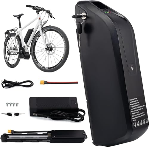 36V 10Ah Lithium Ebike Battery with 2A Charger U59727