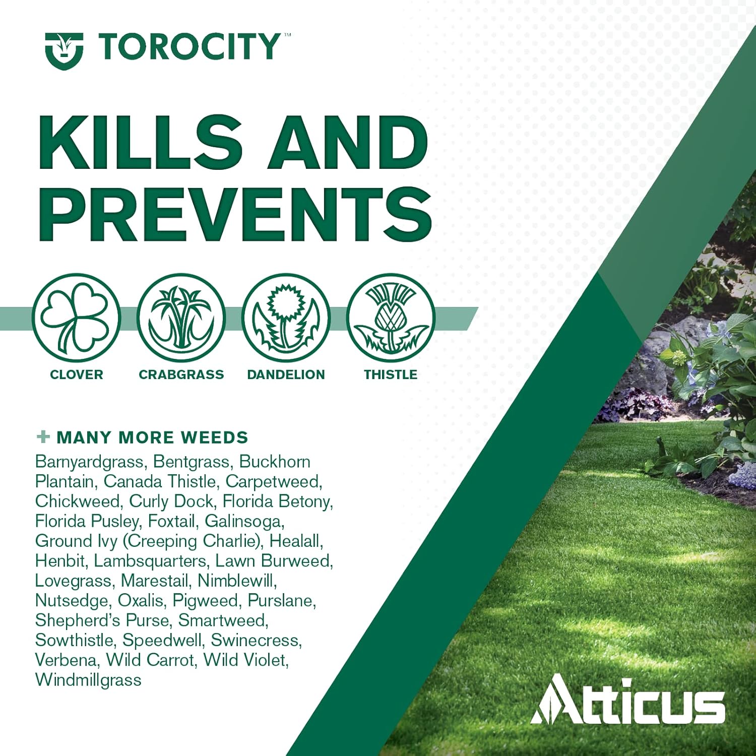 16 oz Turf Herbicide (2 x 8 oz Bottles) P245835
