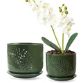 2 Pack 6+5 inch Ceramic Orchid Pots with Holes W5034