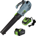 20V Cordless Leaf Blower with 5 Adjustable Speeds, 350 CFM, 4.0Ah Battery and Charger I69052