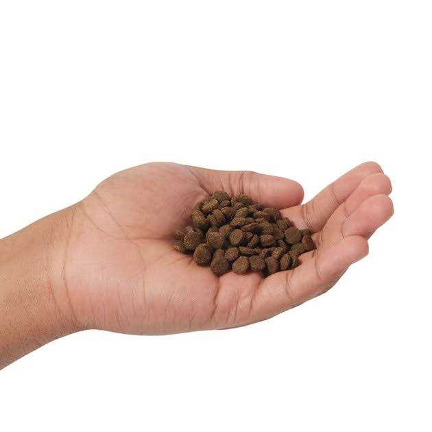 Grain Free Cat Dry Food Lamb & Blueberry D384