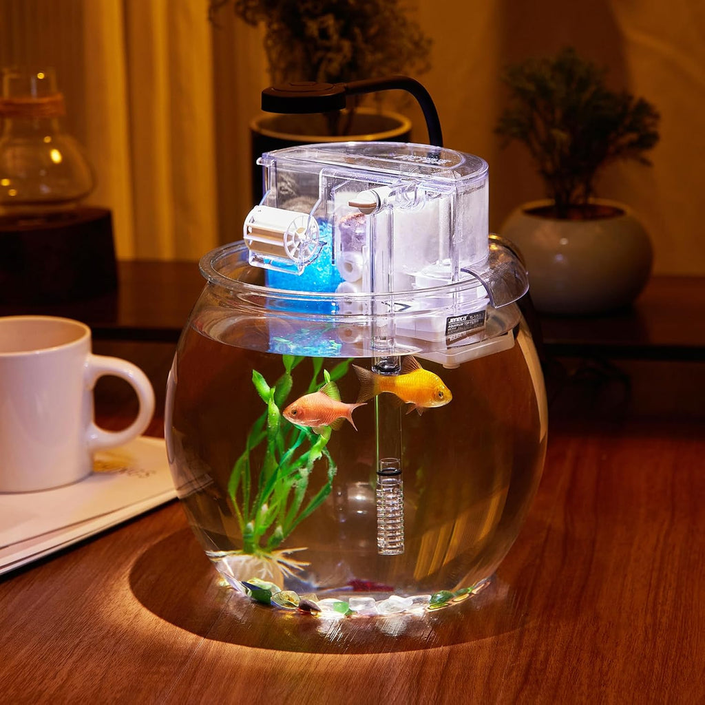 1 Gallon Clear Plastic Round Fish Tank with Filter and Light P992