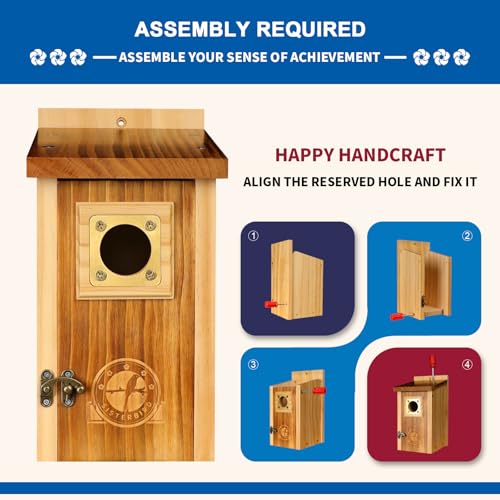 2 Pack Cedar Bird House with Copper Guard H7460