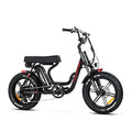 20'' Fat Tire Electric Bike with 750W Motor and 48V/20Ah Battery P363