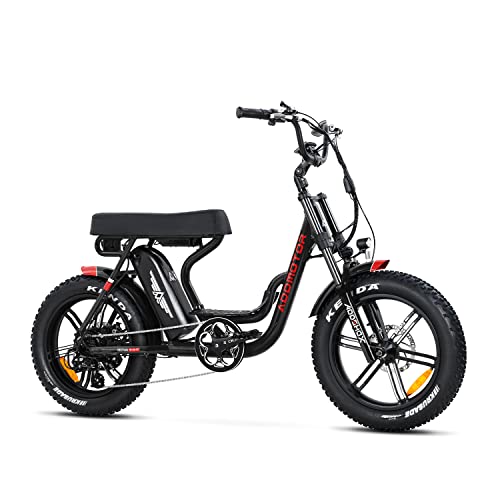 20'' Fat Tire Electric Bike with 750W Motor and 48V/20Ah Battery P363