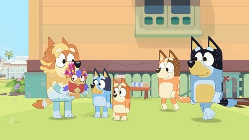 Bluey: The Videogame V322412