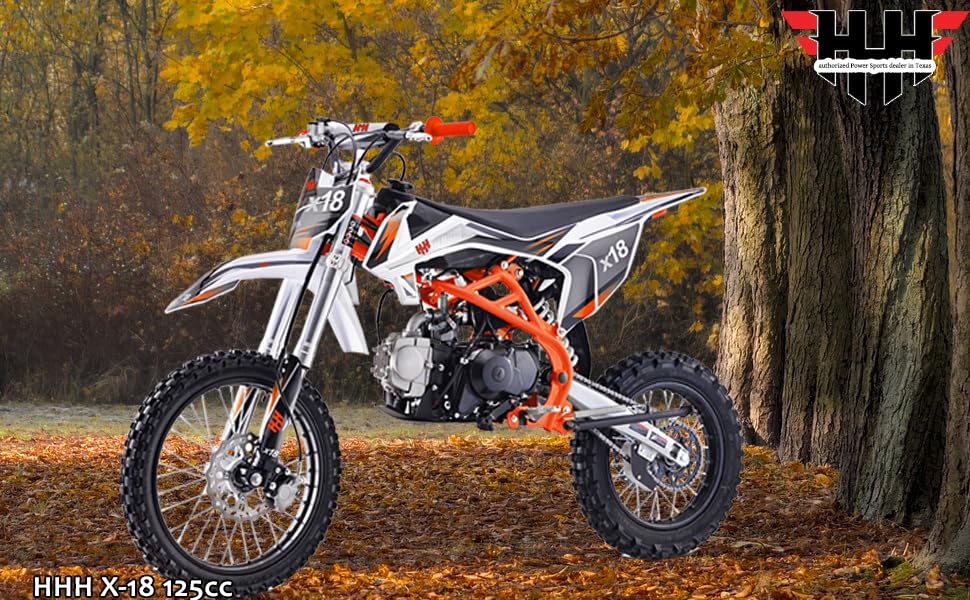 125cc Dirt Bike with 17/14 inch Tires V7095