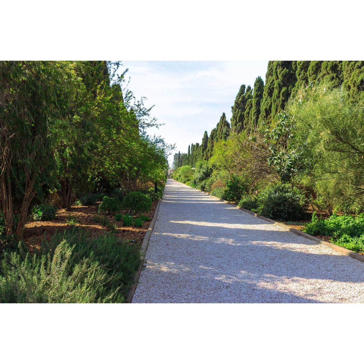 3-in x 4-in x 8-ft Unfinished Pressure Treated Landscape Timber G17346