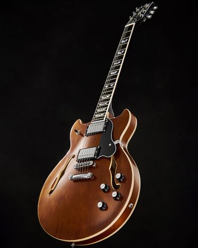Semi Hollow Body Electric Guitar with 6 String U68664