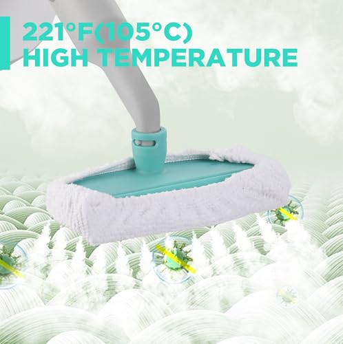 11 pcs Handheld Steam Cleaner with Tool Bag R690658