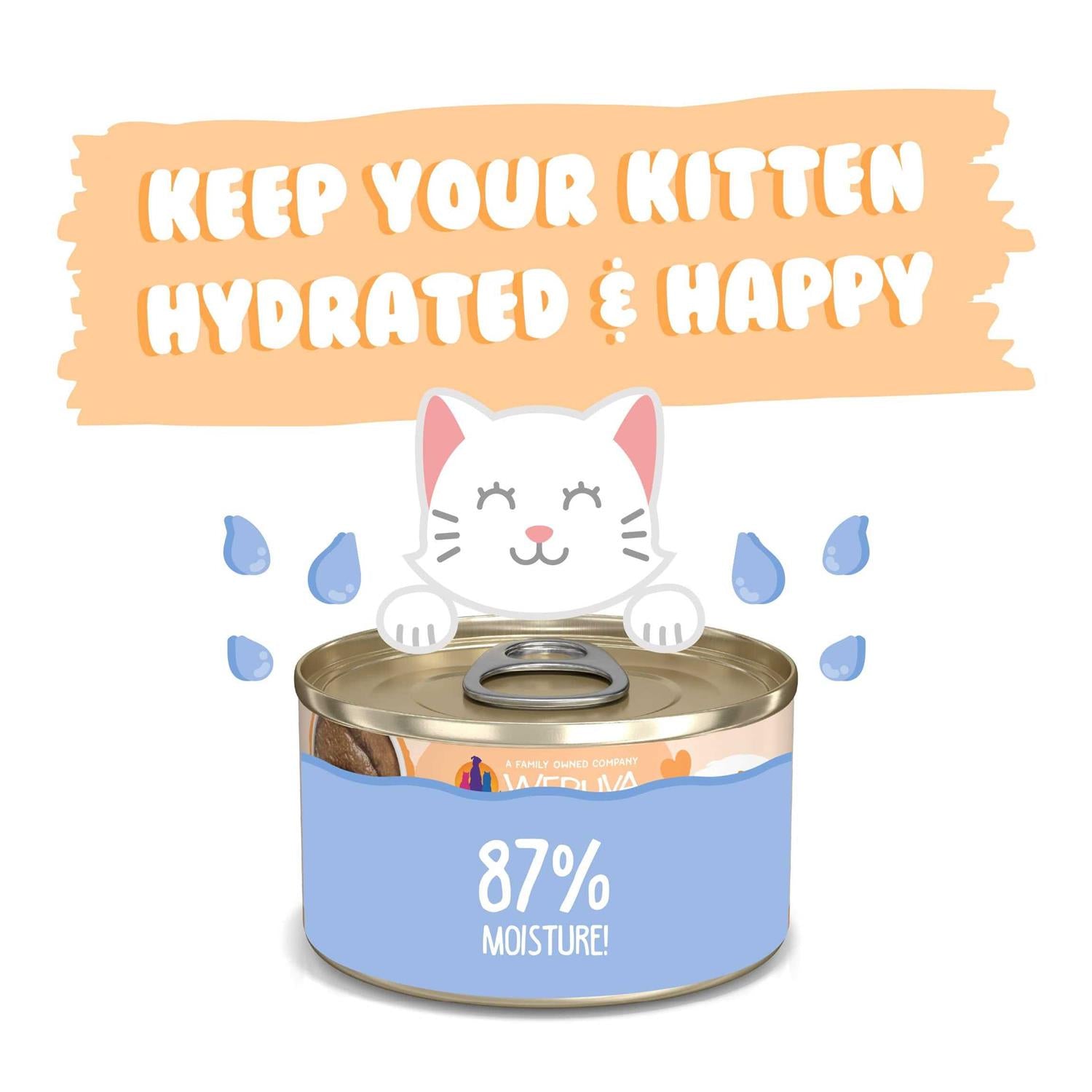 Kitten Tuna & Salmon Formula Cat Food F4677
