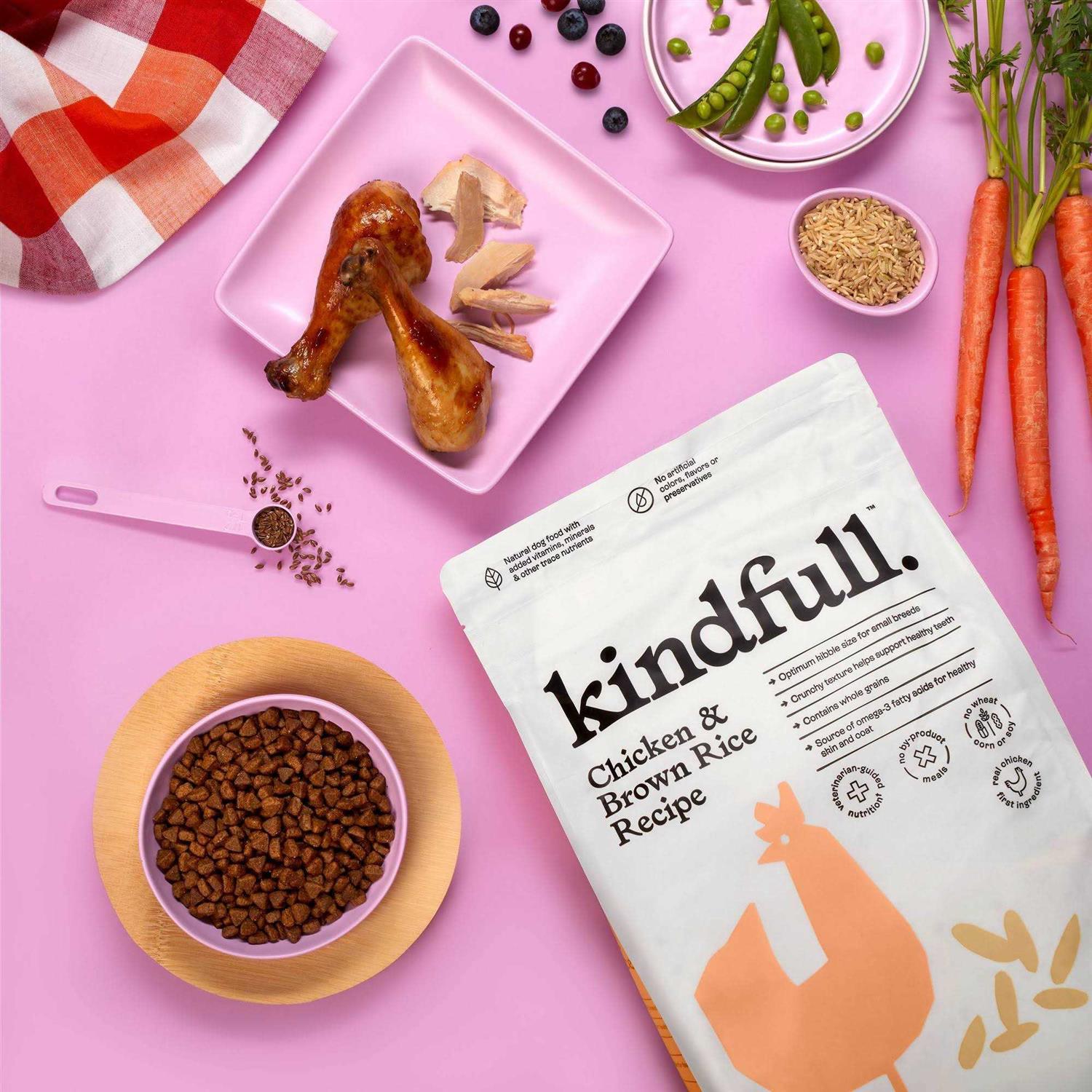 Chicken and Brown Rice Recipe Dry Dog Food E99148
