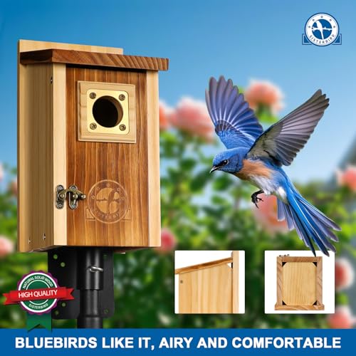 2 Pack Cedar Bird House with Copper Guard H7460