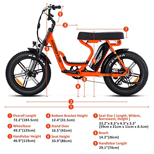 20'' Fat Tire Electric Bike with 750W Motor and 48V/20Ah Battery P363