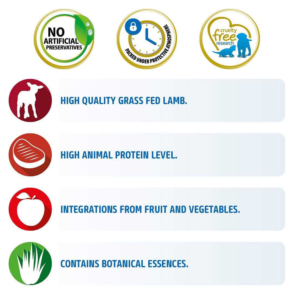 Grain Free Cat Dry Food Lamb & Blueberry D384