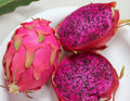 20 Purple Dragon Fruit Cactus Seeds V1914