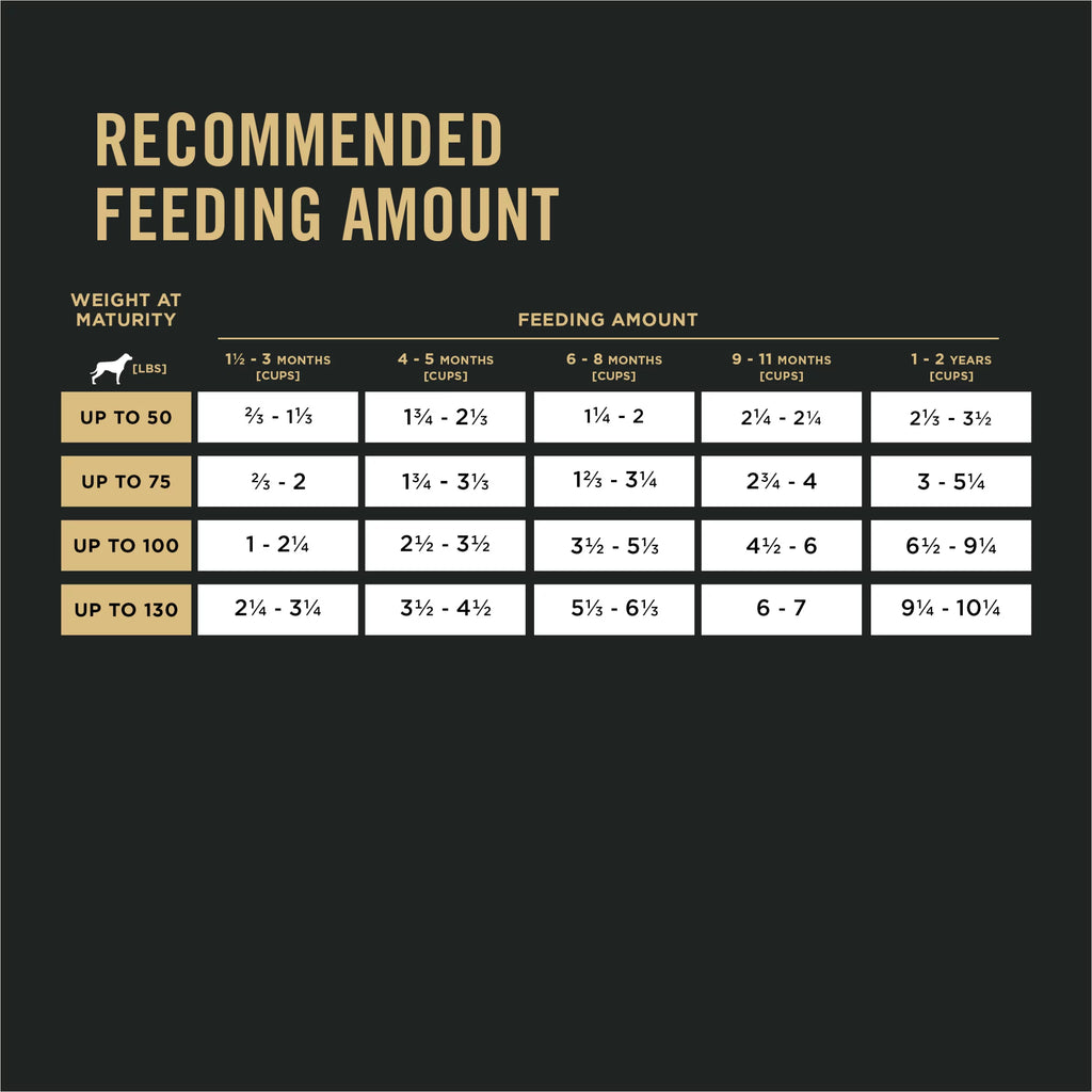 Large Breed Dry Dog Food, Salmon & Rice, 16 lb Bag J942