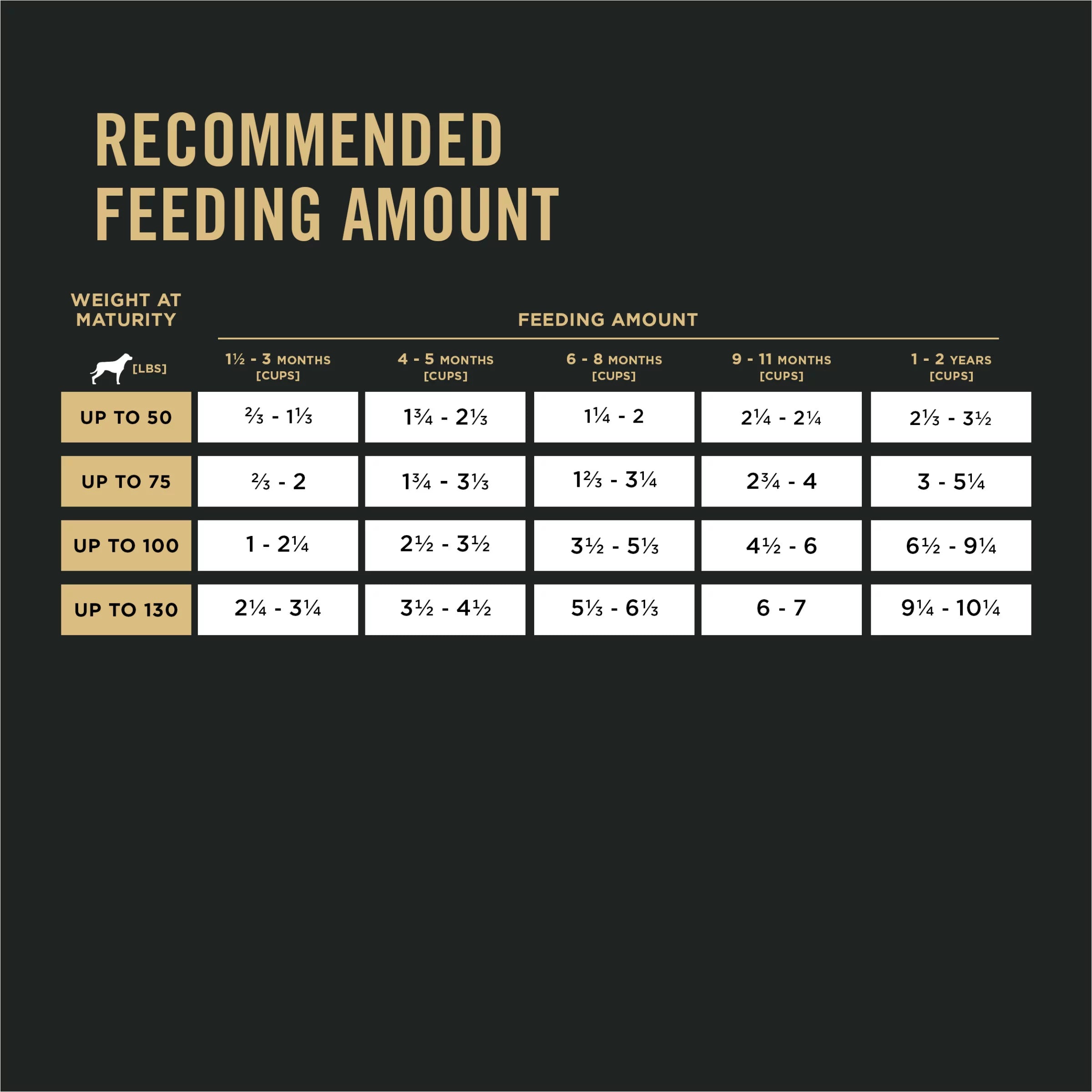 Large Breed Dry Dog Food, Salmon & Rice, 16 lb Bag J942