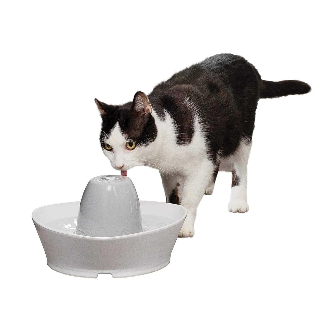 Ceramic Pet Fountain H44420