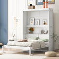 Queen Size Murphy Bed with Storage Shelves and LED Lights, Gray C5124
