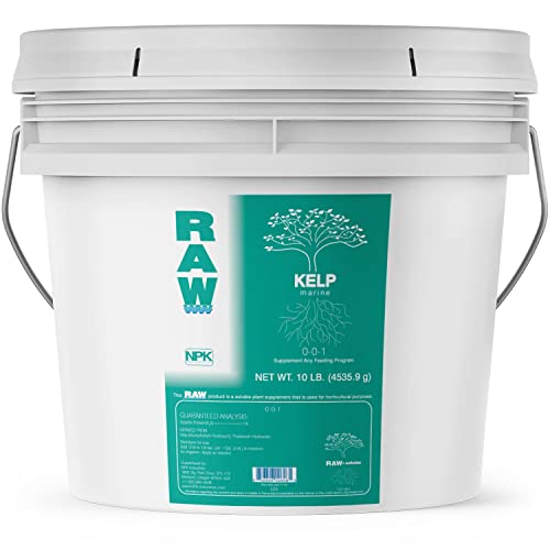 2 oz RAW Kelp K998872