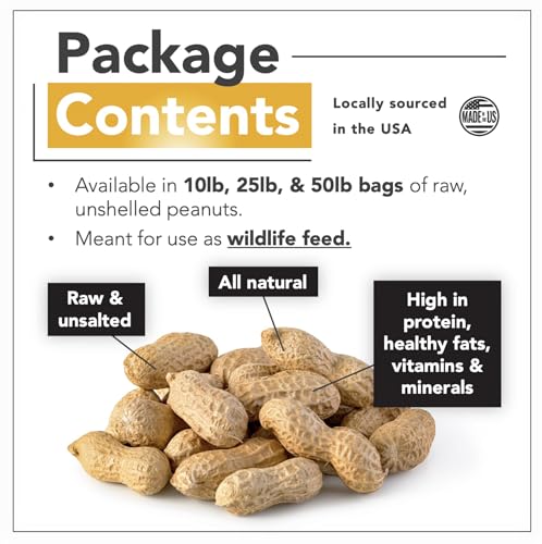 Raw Peanuts (50 LBS) Q154