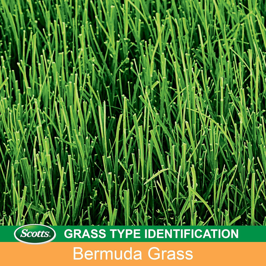 5 lbs. Bermudagrass Grass Seed P903