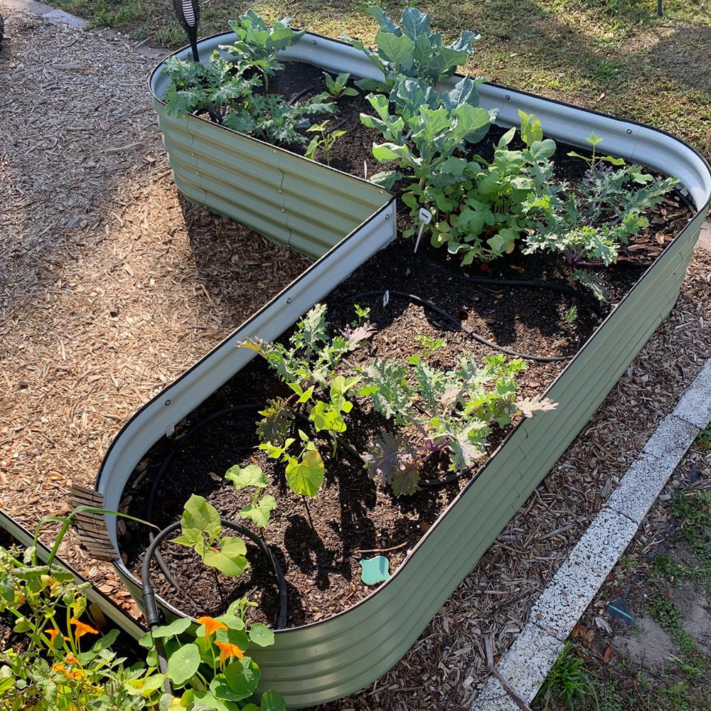 17" Tall L-Shaped Modular Corrugated Metal Raised Garden Beds Green Y791