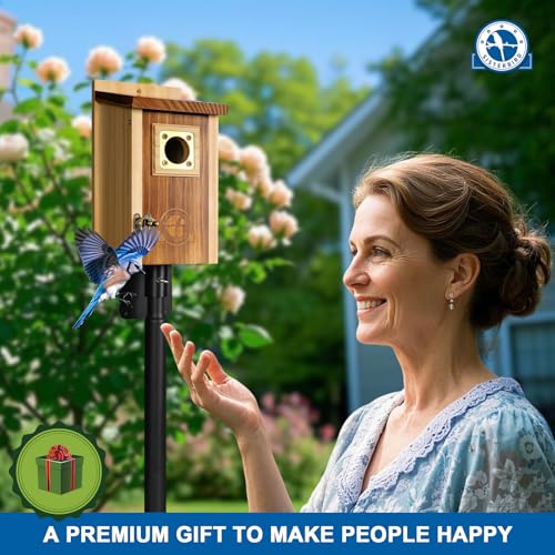 2 Pack Cedar Bird House with Copper Guard H7460