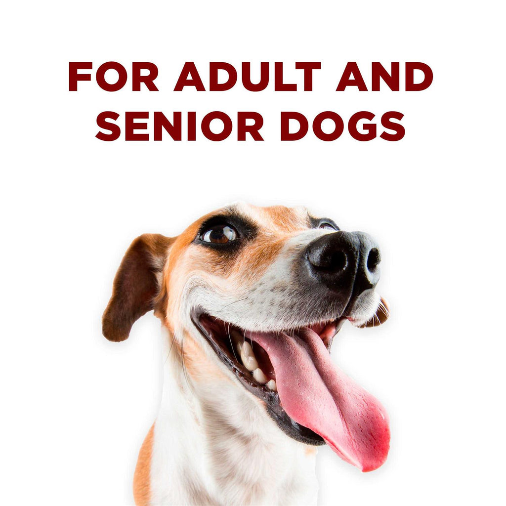Dog Training Treats U988054