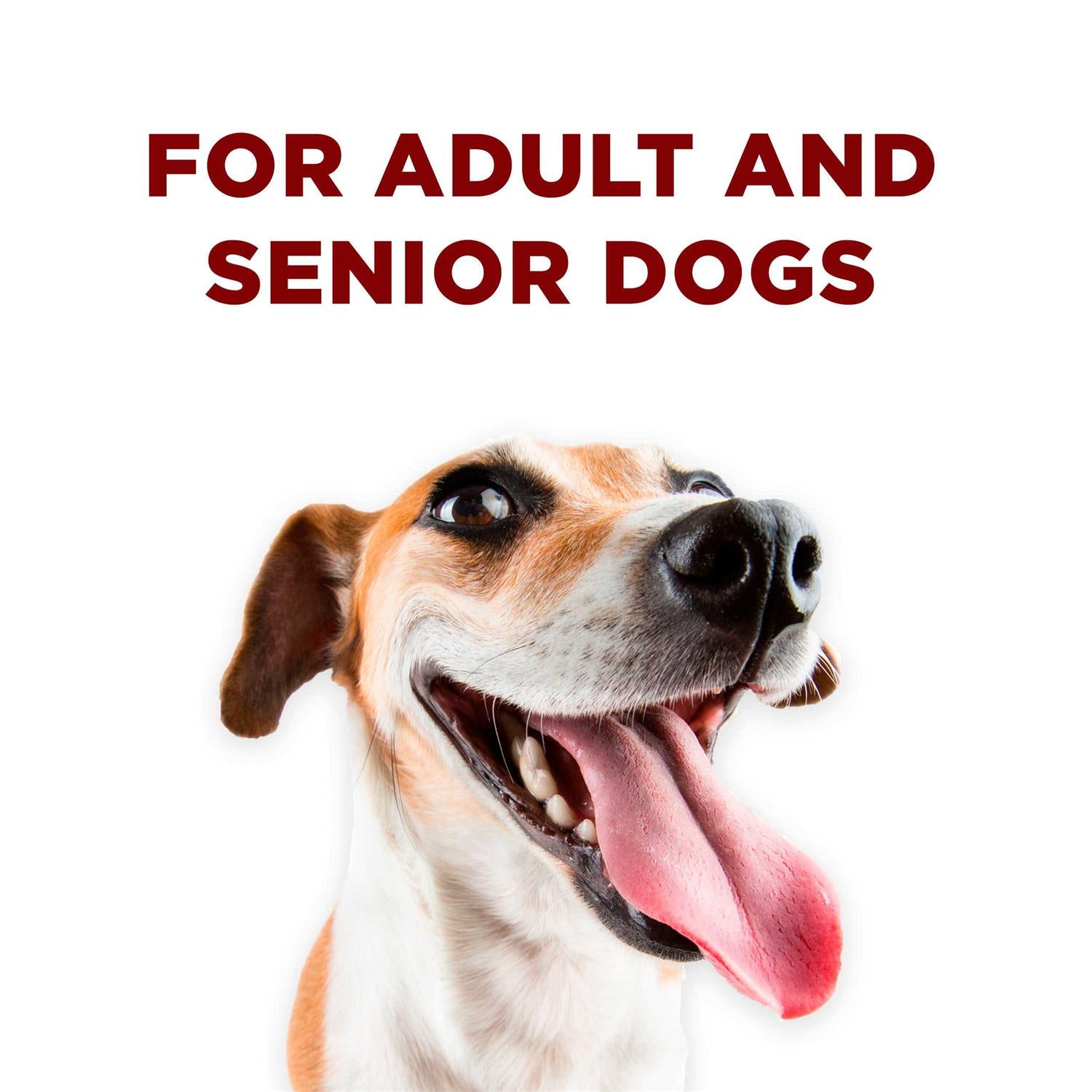 Dog Training Treats U988054