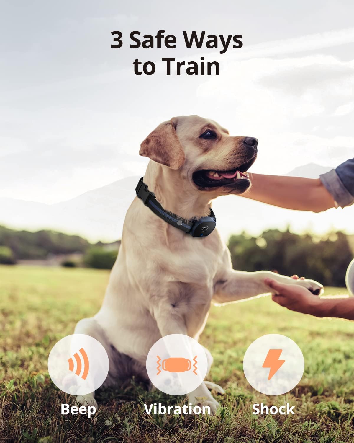 Rechargeable Adjustable Pet Training Collar with Remote, IPX7 Waterproof, Pack of 2 B218