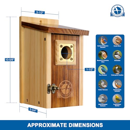 2 Pack Cedar Bird House with Copper Guard H7460