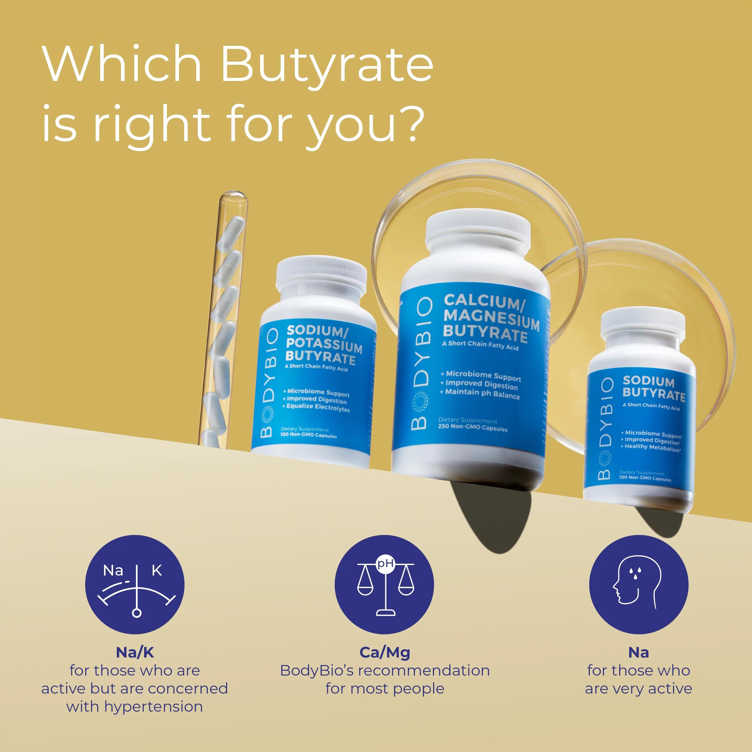 Butyrate Gut Health Supplement 100 Calcium Magnesium Capsules B711